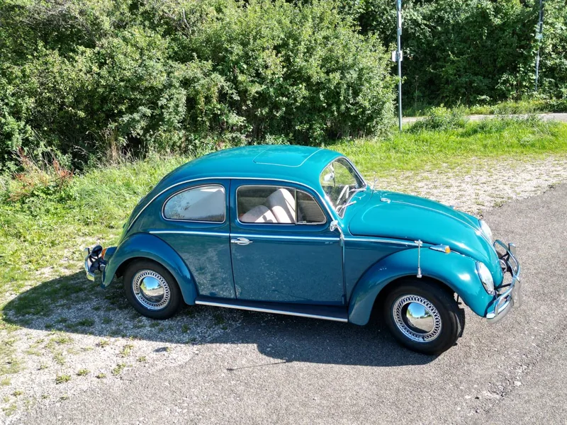 Paulinchen – Seitenansicht